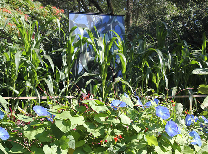 2013 Annual Corn Roast_Hero